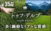 トゥフ・デルブ