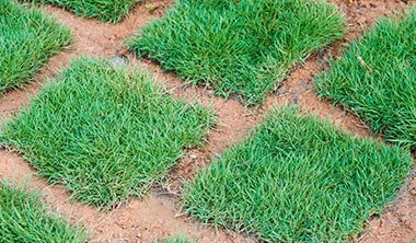 土の上に人工芝を敷く場合