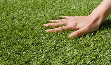 人工芝の耐用年数