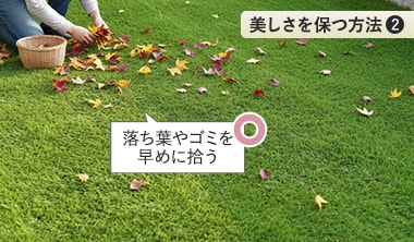 落ち葉やゴミは早めに取り除く