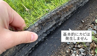 人工芝にはカビは生えない