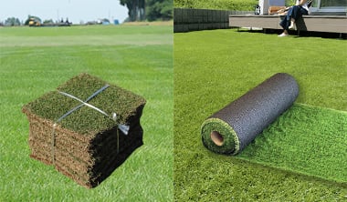 どっちを選べばいい？天然芝vs人工芝