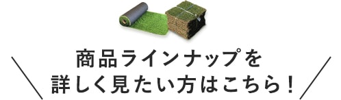 商品ラインナップを詳しく見たい方はこちらから！