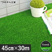 WT-600 45cm×30m