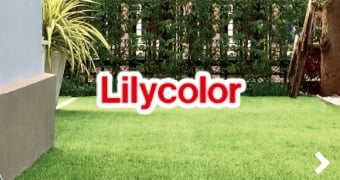 Lilycolor