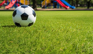 世界水準の安全性