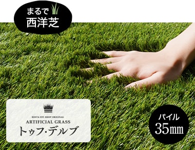 トゥフ・デルブ