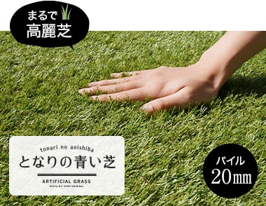 となりの青い芝