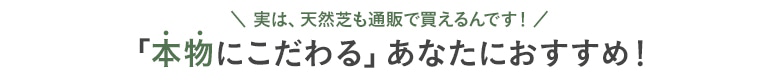 本物にこだわるあなたにおすすめ「天然芝」
