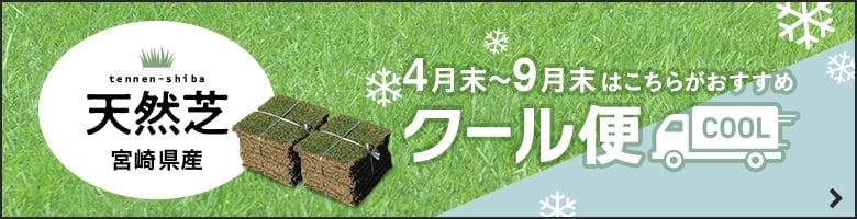 クール便でお届けの天然芝商品一覧
