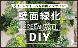 壁面緑化 DIY