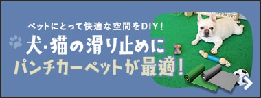 犬・猫の滑り止めにパンチカーペットが最適！