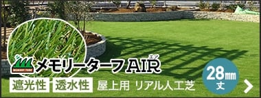 メモリーターフAIR