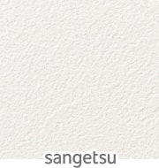 SP9728（旧SP2828）