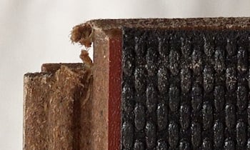 余分なサネのバリ