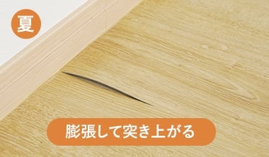 夏は膨張して突き上がる