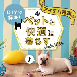 DIYでペットと快適に暮らす