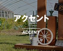アクセント