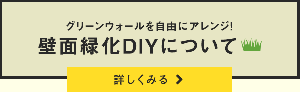 壁面緑化DIYについて詳しくみる