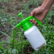 一生生えない除草剤はある？