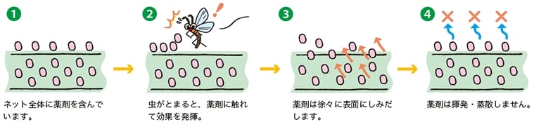 虫の嫌がる薬剤の仕組み