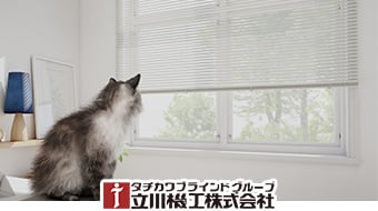 ファーステージ