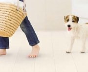 遮音性のあるフローリング