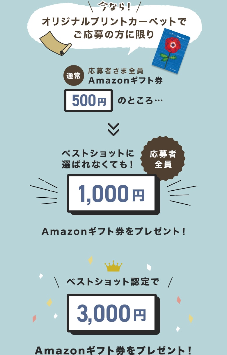 ベストショットなら3,000円応募者全員1,000円