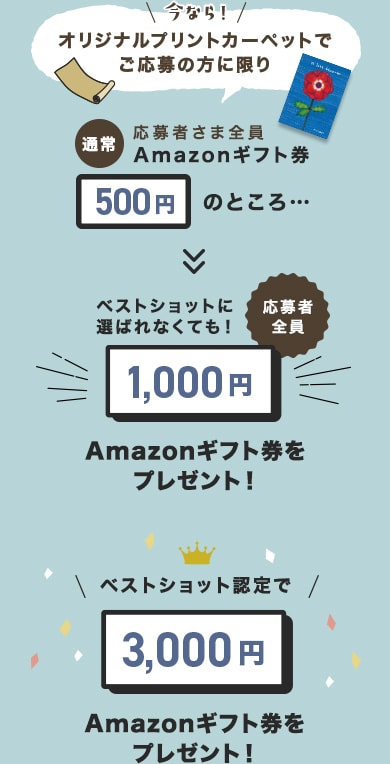 ベストショットなら3,000円応募者全員1,000円