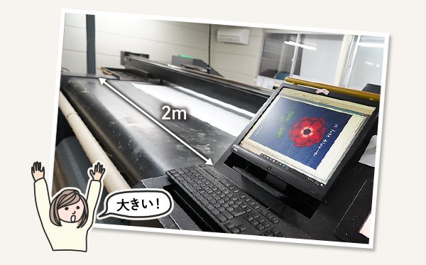 大きい!