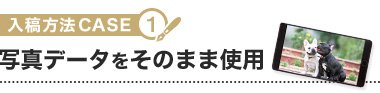 写真データをそのまま使用