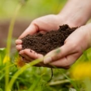 有機肥料を使用