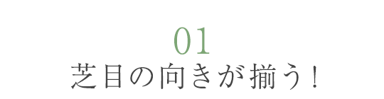01 芝目の向きが揃う！