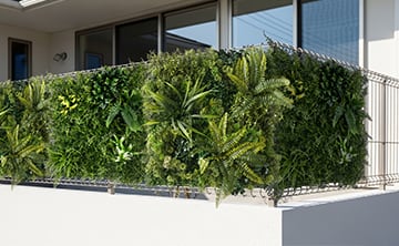 壁面緑化