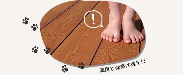 温度と体感は違う！？