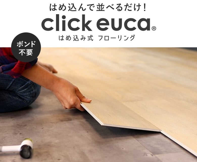 はめこんで並べるだけ！クリックeuca