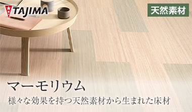 マーモリウム