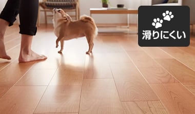 ペットの滑りに配慮
