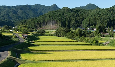 陸の豊かさも守ろう