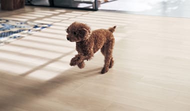 「ペット対応」は小型犬を対象