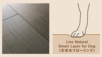 天然木フローリング