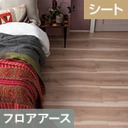 ラシッサDフロアアース DE-2G