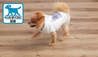 ペット（小型犬）のすべりに配慮