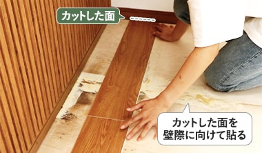 カットした切り口は、必ず壁側になるようにして置く