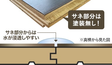 サネ部分は塗装なし！
