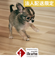 ikuta プリオス 介護とペット
