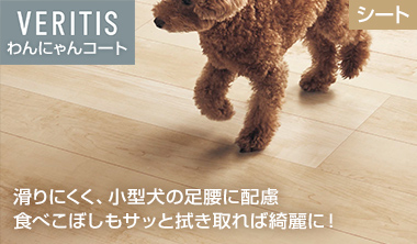わんにゃんコート