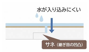 サネありタイプ