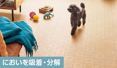 消臭効果