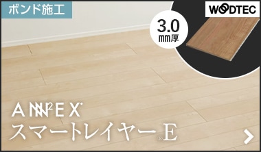 アネックスST スマートレイヤーE